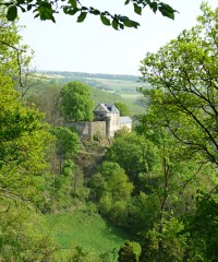 Schloss Schöneck, Hunsrück (2010)